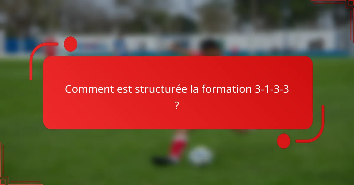 Comment est structurée la formation 3-1-3-3 ?
